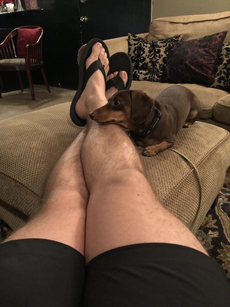 A chocolate dachshund settled on the couch beside a person with their feet up